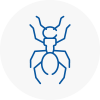 Ant Removals In Tunbridge Wells