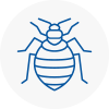 Bed Bug Extermination In Tunbridge Wells