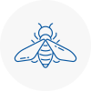 Bee Nest Removal Tunbridge Wells