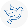 Bird Prevention Tunbridge Wells