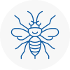 Tunbridge Wells Hornet Nest Removals