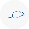 Mice Exterminators In Tunbridge Wells