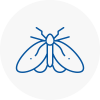 Moth Control Specialists In Tunbridge Wells