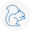 Tunbridge Wells Rodent Removals